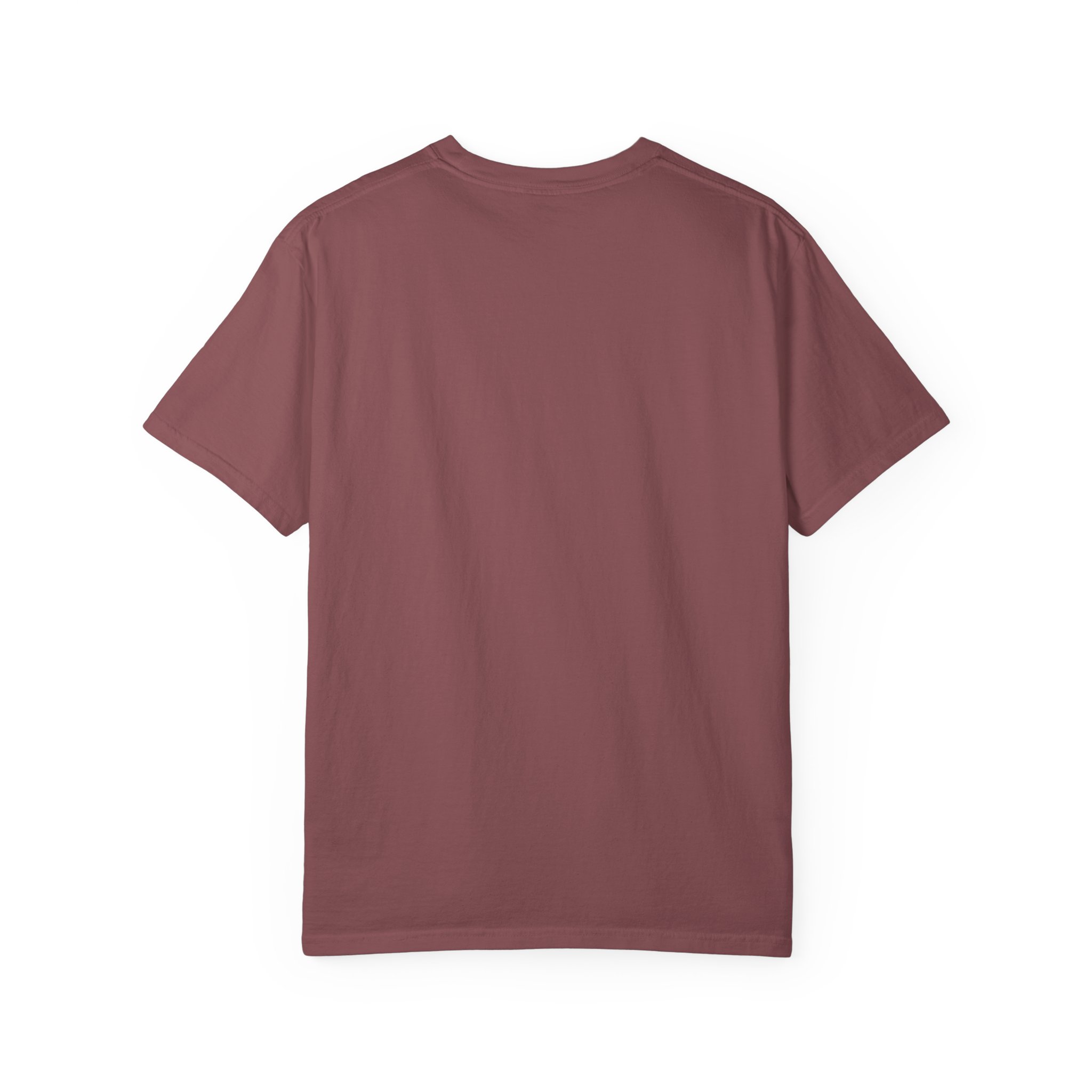 Dad-a-Base T-shirt in Brick, back view