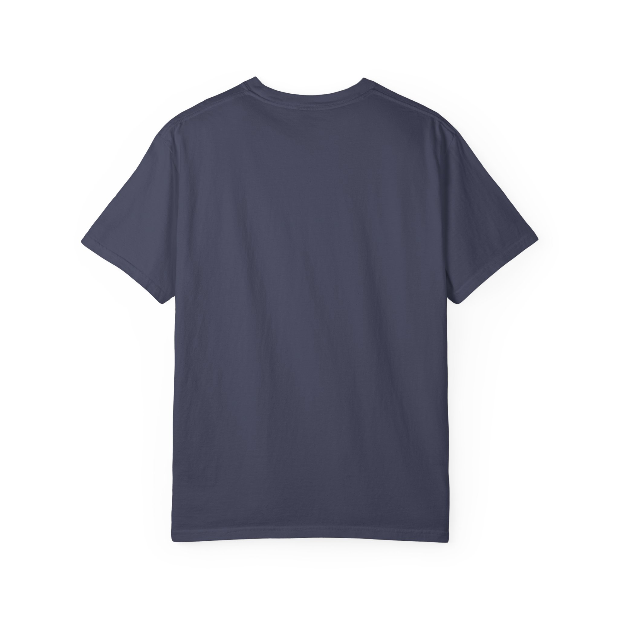 Bug-Free Backyard T-shirt in Denim, back view