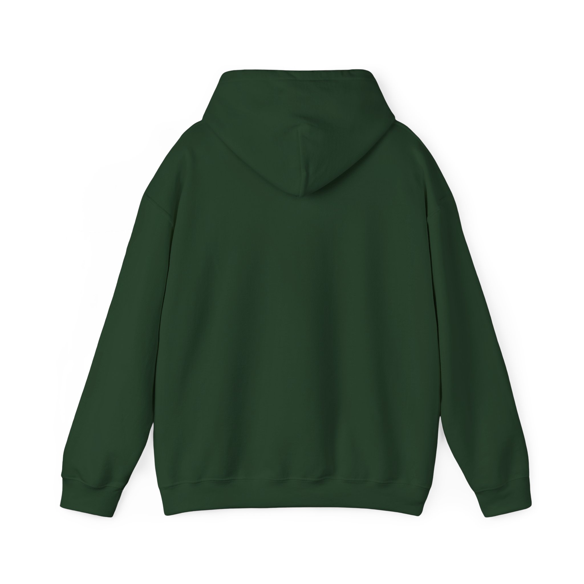 cat truth.txt hoodie in Forest Green, back view