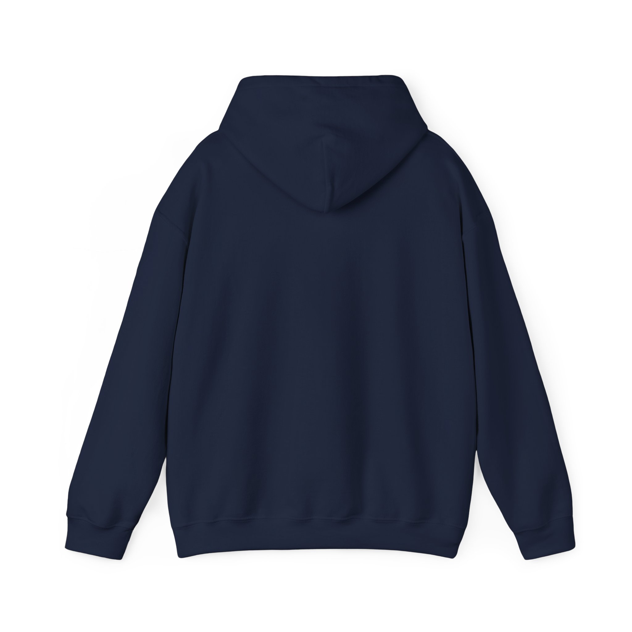 cat truth.txt hoodie in Navy, back view
