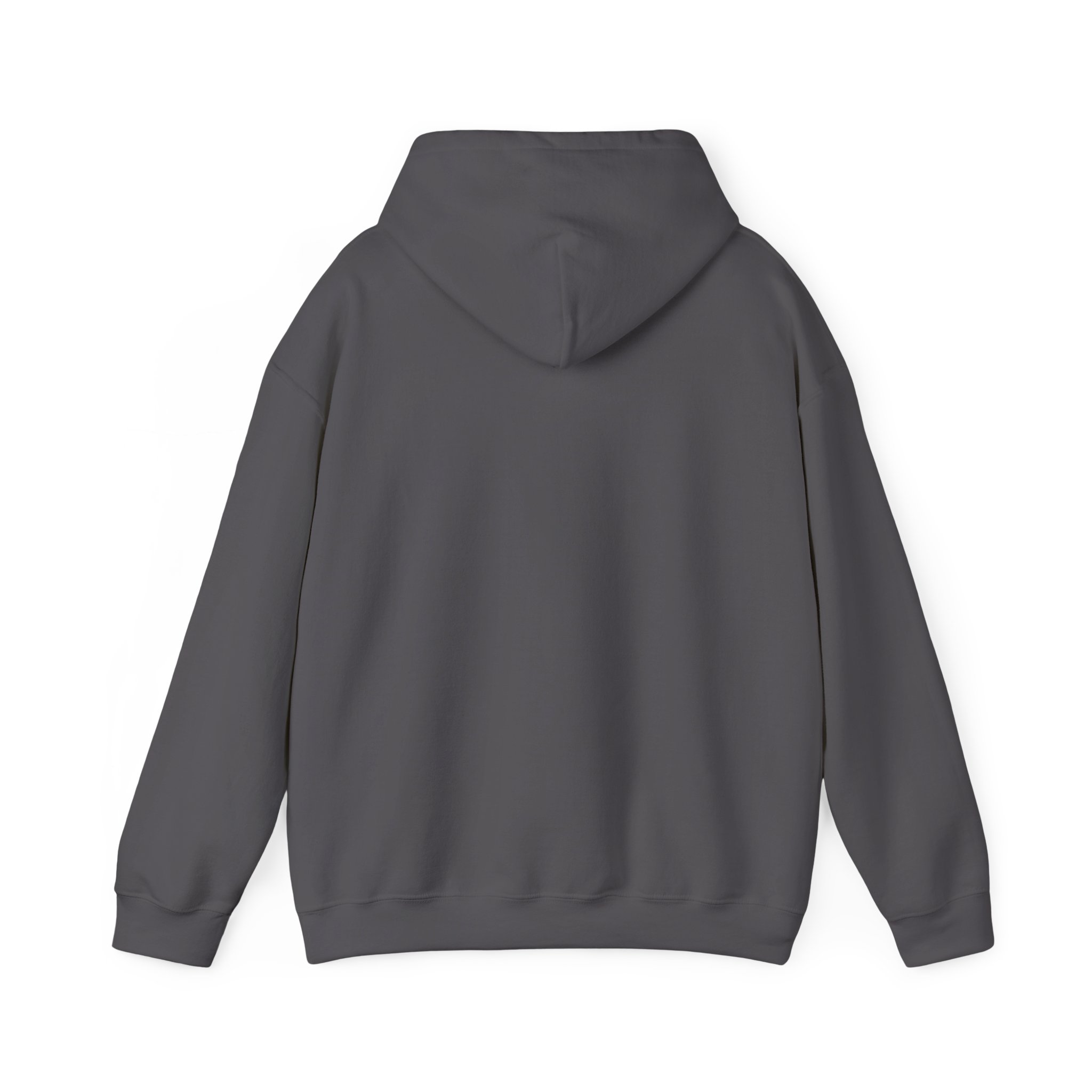Best Dad Ever hoodie in Charcoal, back view