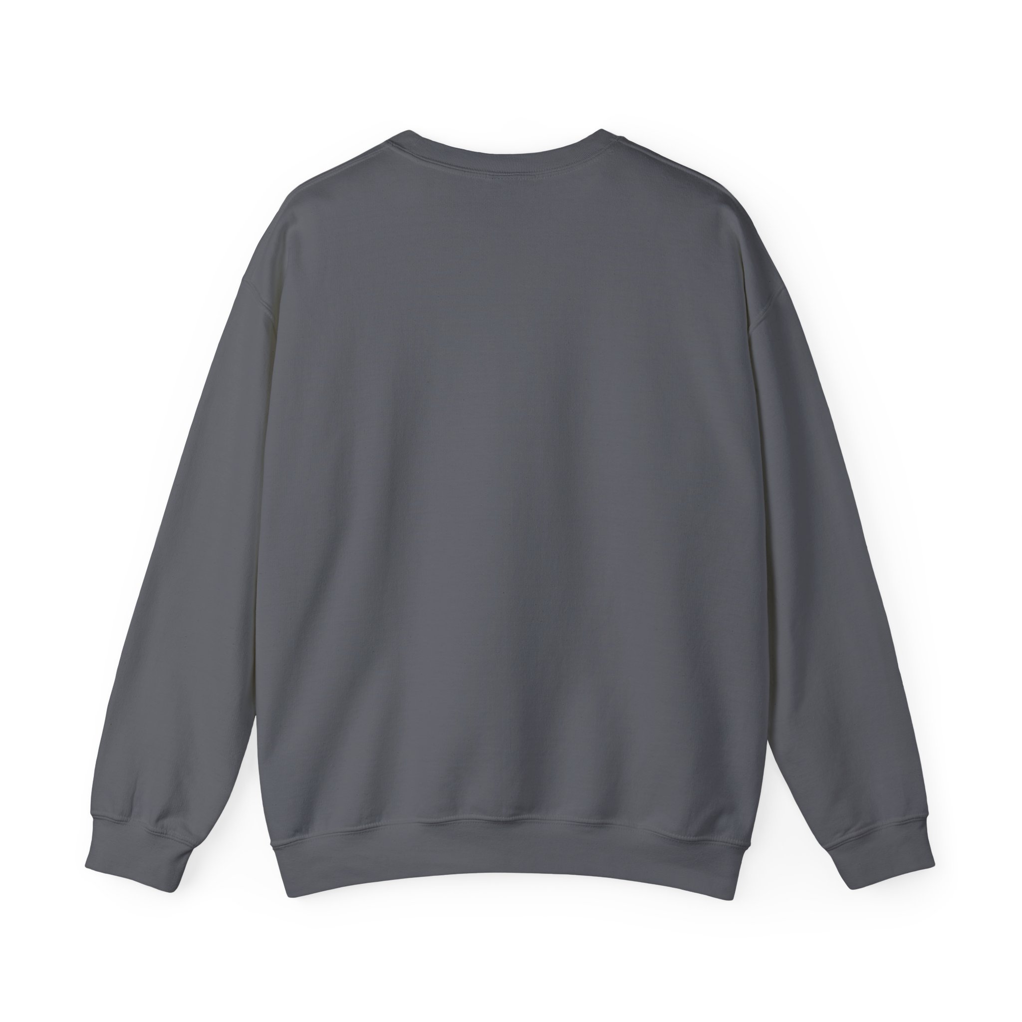 The Data Awakens crewneck sweatshirt in Charcoal, back view