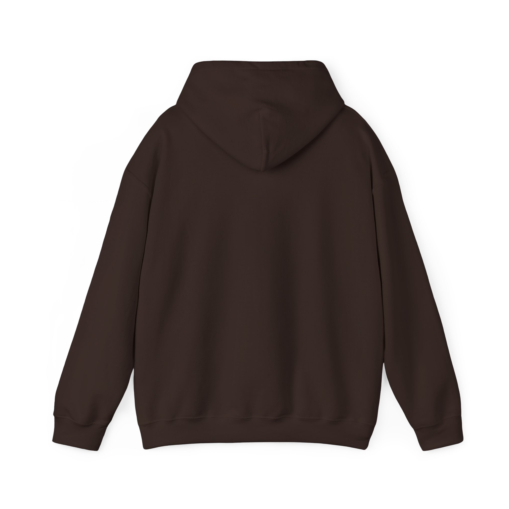 The Data Awakens hoodie in Dark Chocolate, back view