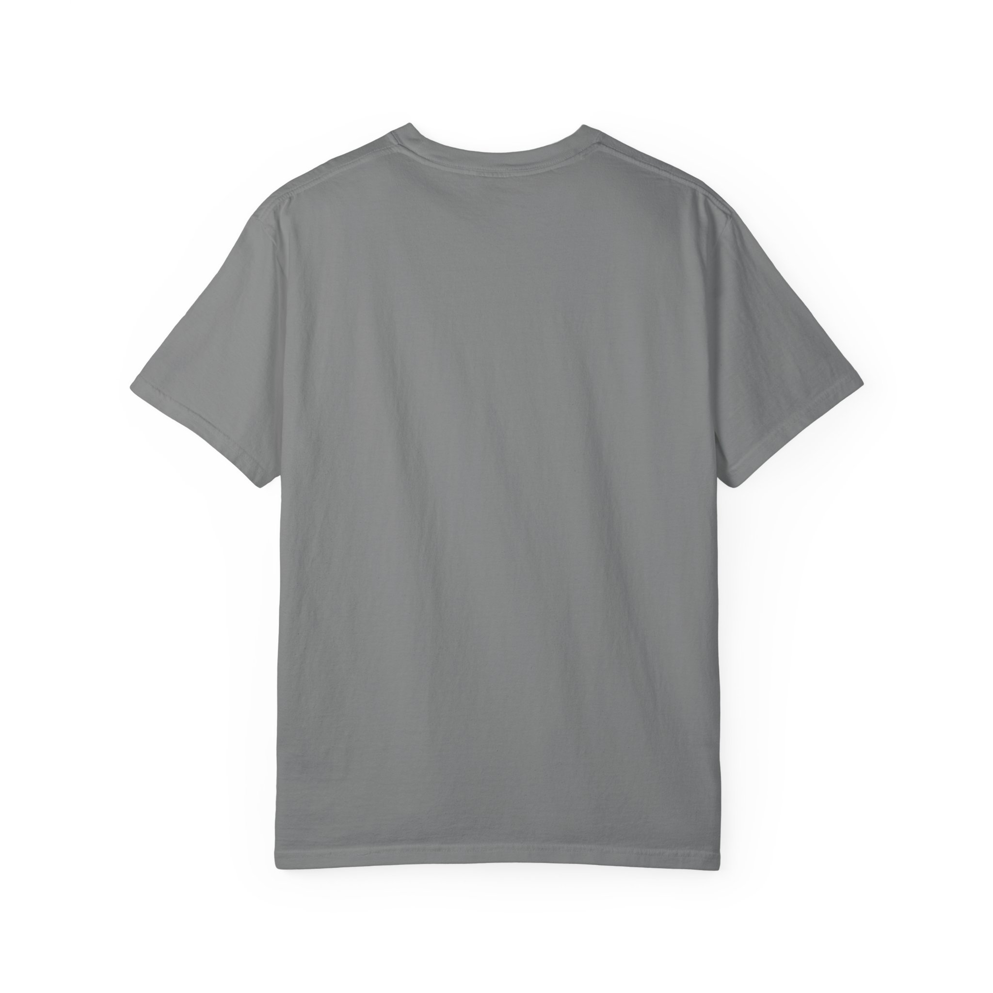 Dad-a-Base T-shirt in Grey, back view