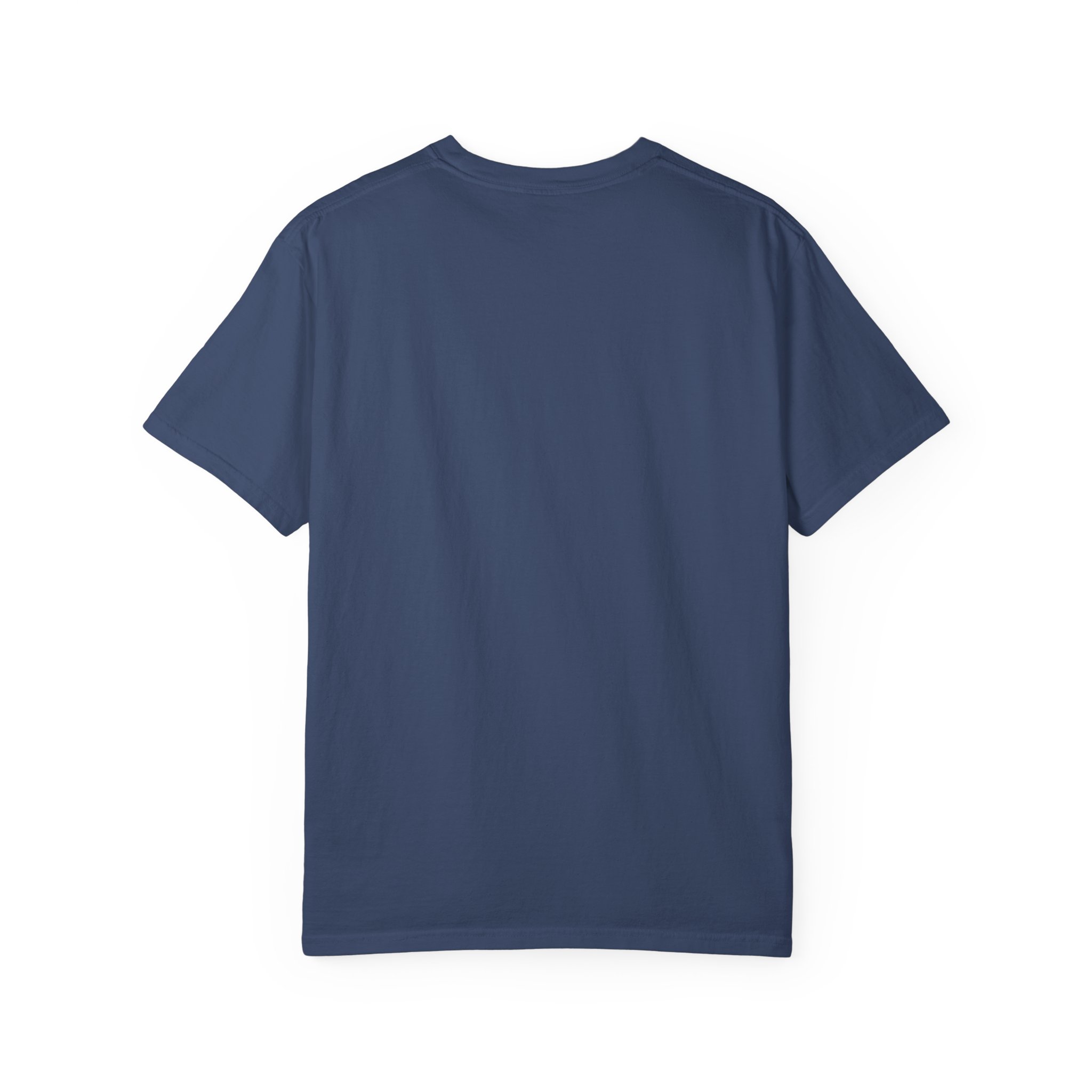 cat truth.txt T-shirt in China Blue, back view