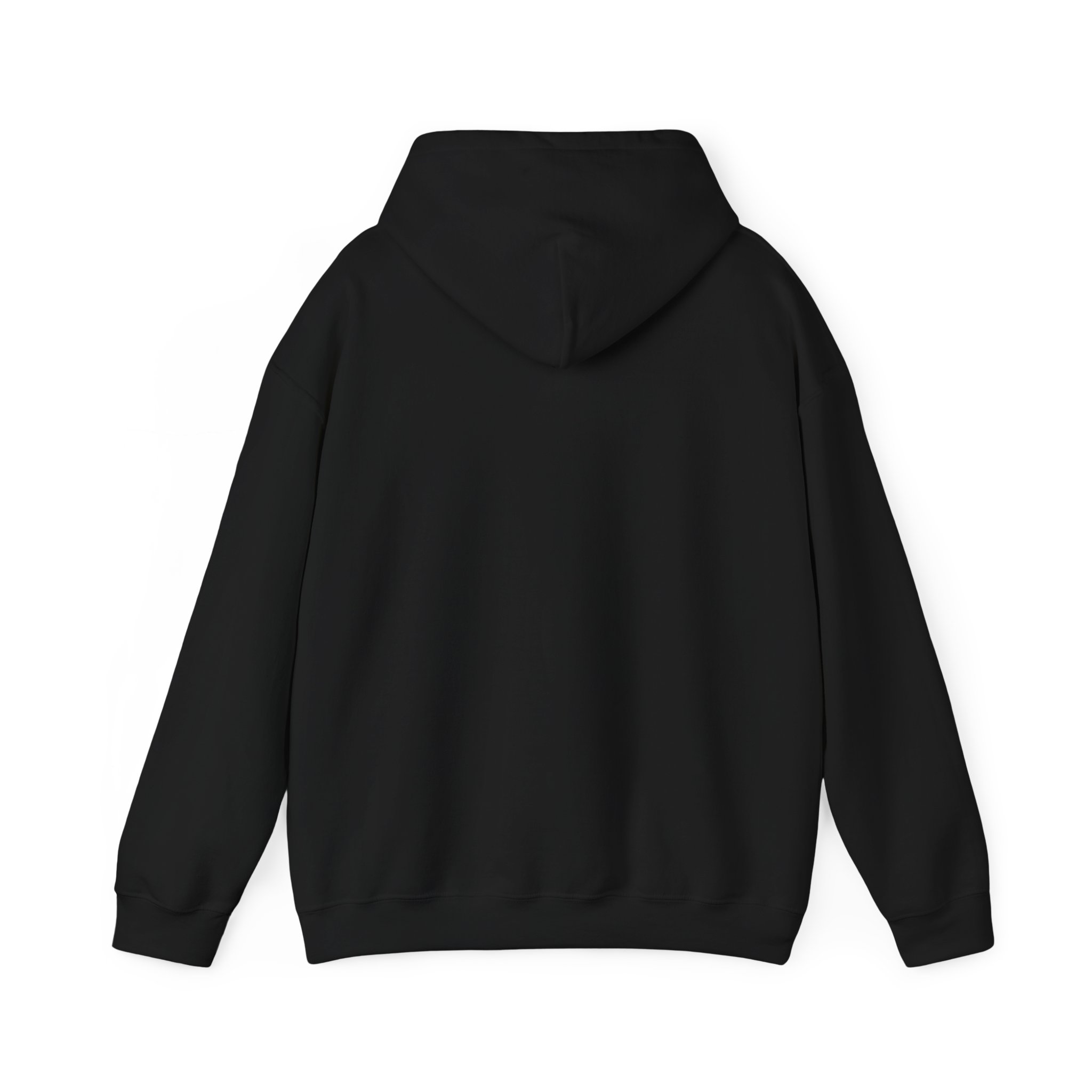 cat truth.txt hoodie in Black, back view